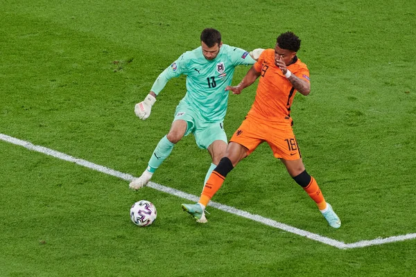 Trận đấu nổi bật của đội tuyển Argentina tại World Cup